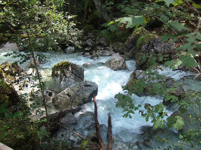 2009-08- (193).JPG - Dann geht's in den Zauberwalt, direkt am Hintersee gelegen